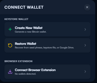 Connect Wallet Options